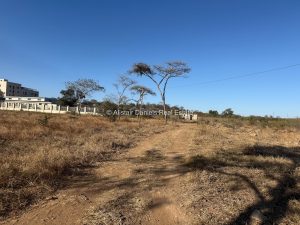 518393834 760477919821778 4243808261290433606 n