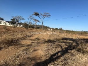 518407189 760477966488440 8926324995792493100 n