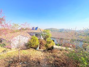 carrick creag estate (40)