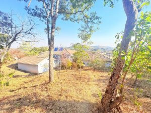 carrick creag estate (41)