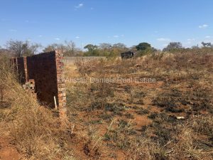 537579779 788977383638498 5822258419775500515 n