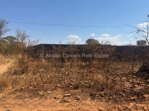 538633201 788976306971939 7289947149576512274 n (1)